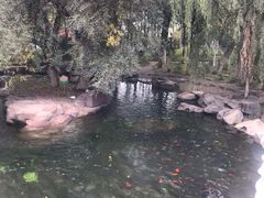 -水磨沟公园