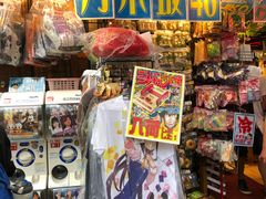 -秋叶原电器街