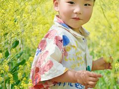 -西青郊野公园