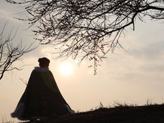 -新建村梅花