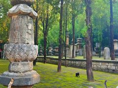 -四门塔风景区