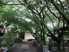 -德阳体育公园(旌阳街道)