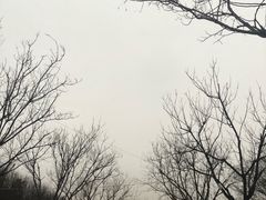 -洛阳市隋唐城遗址植物园