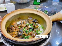-红星光发煲仔饭(文海店)