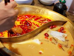 菌汤鸳鸯太极锅-小龙坎火锅(全球总店)