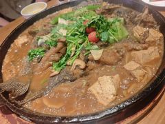 -老板恋上鱼(恒隆广场店)