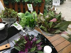 -汤山翠谷生态餐厅