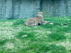 -北京野生动物园