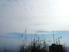 -东白山