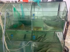 -宾湖农庄·农场特色(太湖龙之梦店)