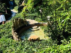 -威海天沐温泉度假区
