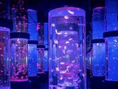 -石林冰雪海洋世界