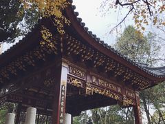 -汇龙潭