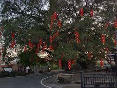 -江门古劳水乡旅游区