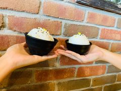 -DM CHICKEN 分米鸡