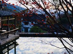 -塔川景区