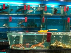 水产区-海大大蒸汽海鲜餐厅·粤菜·特色小炒(欢乐颂店)