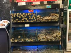 水产区-乾隆美食·本帮菜(黄河路店)