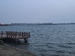-丁香湖公园