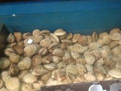 -遇上西雅图多融合海鲜自助餐厅(中房金谊广场店)