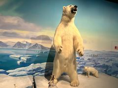 -陕西自然博物馆