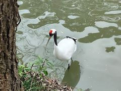 -杭州野生动物世界