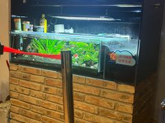 -后院犇牛主题餐厅(云岗店)