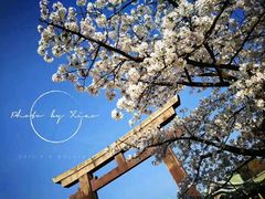 -有栖山 清光院 清水寺