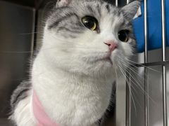 -纳吉亚猫专科动物医院·北北分院