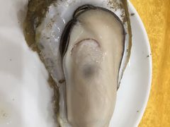 -蚝专家(北滘店)
