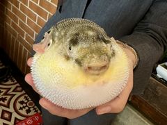 -永安鱼庄·镇江菜(丁卯店)