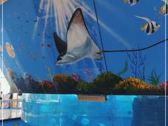 -鸿通城购物中心