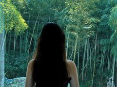-白云源风景区