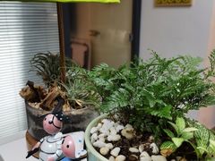 -绿房子心理咨询