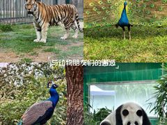 -郑州市动物园