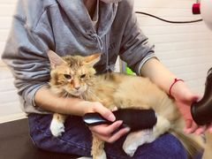 -PETKIT小佩宠物(古北店)