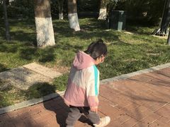 -金鸡湖游船(月光码头)