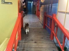 -白兔子密室(长寿路店)