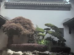 -檀园