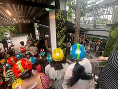-圣淘沙天际线斜坡滑车