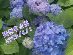 -陶然亭公园