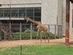 -辛玛王国游乐园