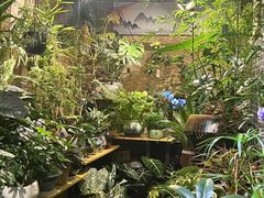 -花鸟鱼虫鲜花绿植市场(玉泉路店)