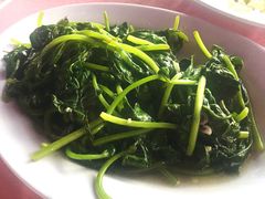 -旗鱼海番村(Orang Asli)