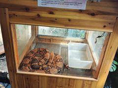 -上海大自然野生昆虫馆(东方明珠·爬宠昆虫探索中心)