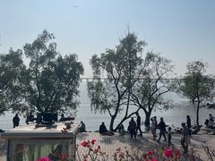 -宝安西湾红树林湿地公园