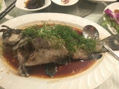 -阿一鲍鱼·20年匠心传承(天河北旗舰店)