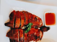 -宝燕壹号(长寿店)