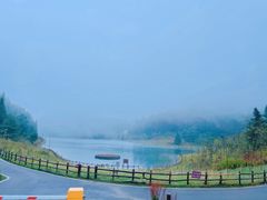 -武陵山森林公园