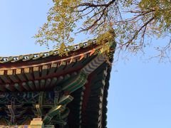 -国家图书馆·古籍馆